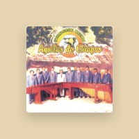 INTERNACIONAL MARIMBA ÁGUILAS DE CHIAPAS LVM - Lyrics, Playlists & Videos |  Shazam