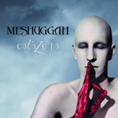 Meshuggah - BLEED