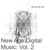 New Age Digital Music: Vol. 2