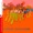 The South Frisco Jazz Band - When Erastus Plays His Old Kazoo