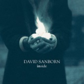 David Sanborn - Brother Ray