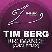 Bromance (Avicii's Radio Edit) artwork