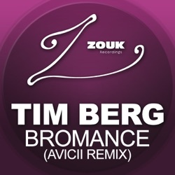 Tim Berg - Bromance (Avicii's Radio Edit)