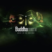Buddha Sounds Vol. 6: Guest in the Universe artwork