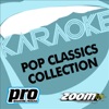 Zoom Karaoke: Pop Classics Collection, Vol. 155, 2008