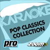 Zoom Karaoke - Pop Classics Collection, Vol. 115