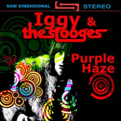 Purple Haze - Iggy & the Stooges Purple Haze - Iggy & the Stooges