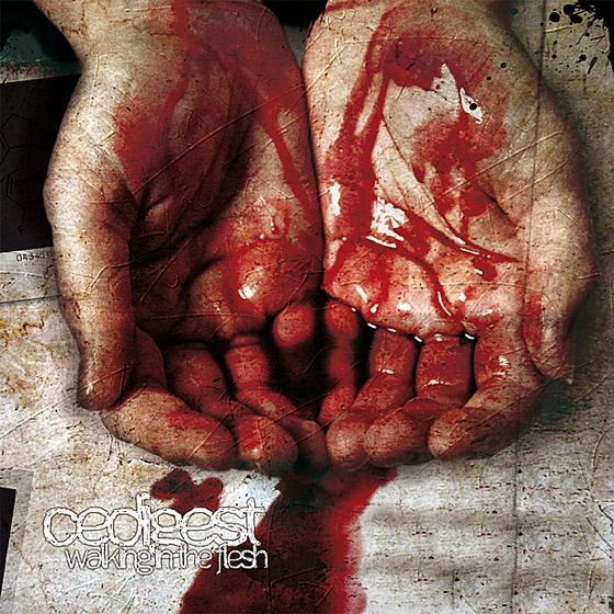 Cover artwork for Bound