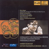 Variations and Fugue On a Theme of Mozart, Op. 132 : Sostenuto artwork