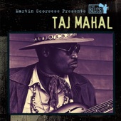 Martin Scorsese Presents the Blues: Taj Mahal artwork