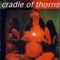 Behave - Cradle Of Thorns lyrics