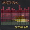 Erratic Fool - Shut the Fuck Up