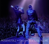 Das grosse Leben (Live 2006), 2007