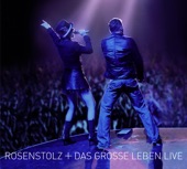 Das grosse Leben (Live 2006)