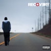 Recovery (Deluxe Edition), 2010