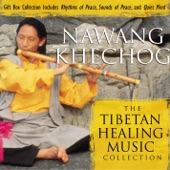 Tibetan Healing Music Collection artwork