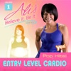 Ali Vincent's "Believe It, Be It" Entry Level Cardio Workout, Vol 1 - Pop Hits (60 Minute Non-Stop Workout)