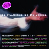 El Flamenco Es Universal
