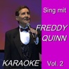 Karaoke - Sing mit Freddy Quinn, Vol. 2