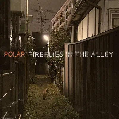 Fireflies in the Alley - Polar