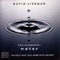Storm Surge (Featuring Pat Metheny) - David Liebman featuring Pat Metheny lyrics