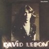 David Lebon