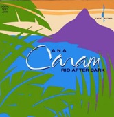 Rio After Dark artwork