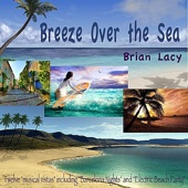 Brian Lacy - Electric Beach Party