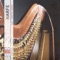 Harp Concerto in C Major: I. Allegro brillante artwork