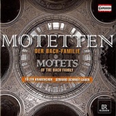 Motets of the Bach Family artwork