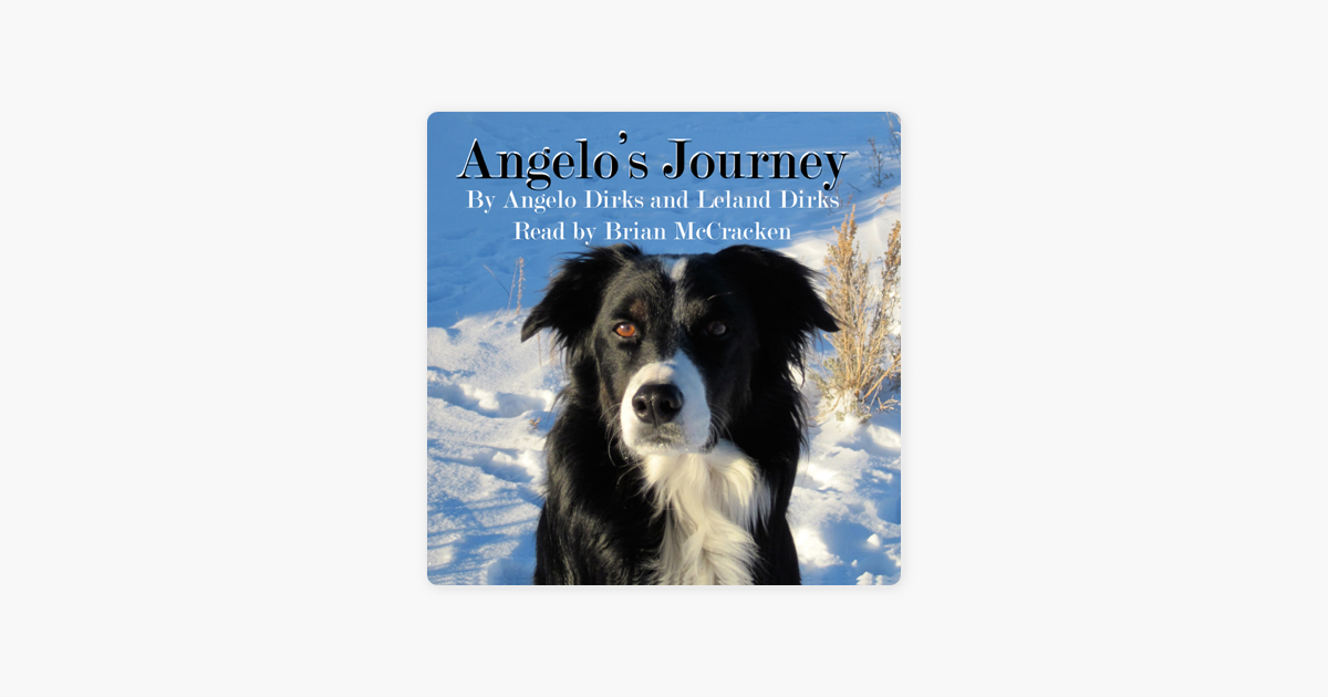 Angelo S Journey A Border Collie S Quest For Home Unabridged On Apple Books