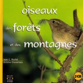 Oiseaux des forêts et des montagnes - Birds of the forests and mountains artwork