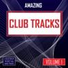 Amazing Club Tracks - vol. 1, 2010