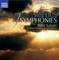 Symphony No. 1 in E Minor, Op. 39: I. Andante Ma non Troppo: Allegro Energico artwork