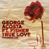 True Love (Radio Edit) [feat. Fisher] artwork