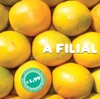 A Filial - Aqui Se Faz Aqui Nao Paga