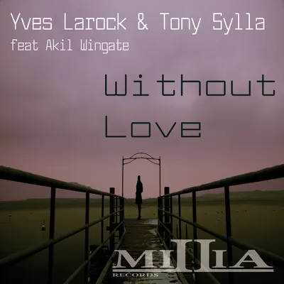 Without Love - Yves Larock