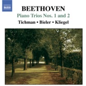 Beethoven: Piano Trios Vol. 2 artwork