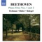 Piano Trio No. 1 in E Flat Major, Op. 1, No. 1: I. Allegro artwork