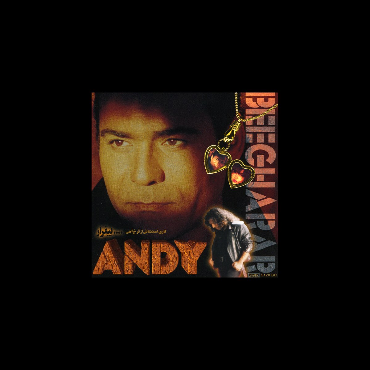 ‎Bigharar Persian Music by Andy on Apple Music