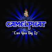 Can You Dig It (Original Mix) artwork