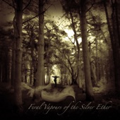 Feral Vapours of the Silver Ether (Bonus Track Version) artwork