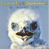 Crash Test Dummies - He Liked to Feel It