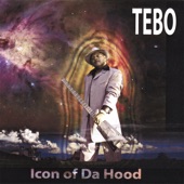 Tebo - Star N My City