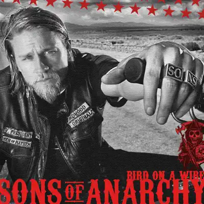 Bird On a Wire (From "Sons of Anarchy") - Single - Katey Sagal