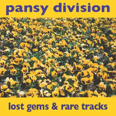 Lost Gems & Rare Tracks - Pansy Division