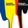 Cornelius - Fit Song (The Books Remix "Eat White Paint")