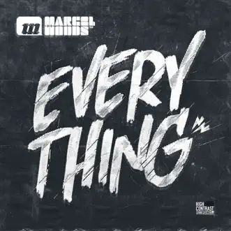 Everything (Original Mix) by Marcel Woods song reviws