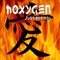 Insanity (Final Version) [feat. Sarah, Dj Fole] - Hoxygen lyrics