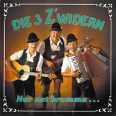 Die 3 Zwidern - Sierra Madre